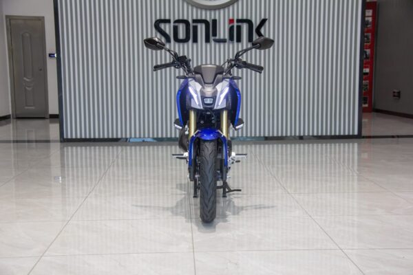 SONLINK SL250-F16 - Imagen 5